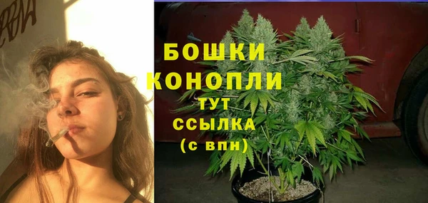 альфа пвп Нея